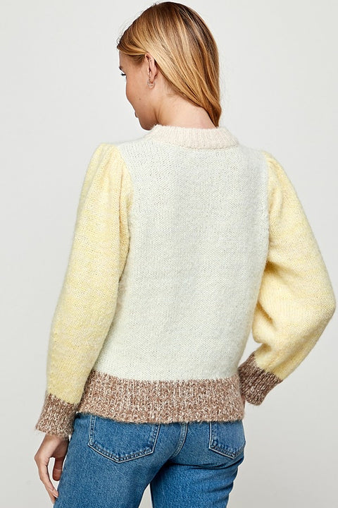 Mint & Yellow Colorblock Sweater Top