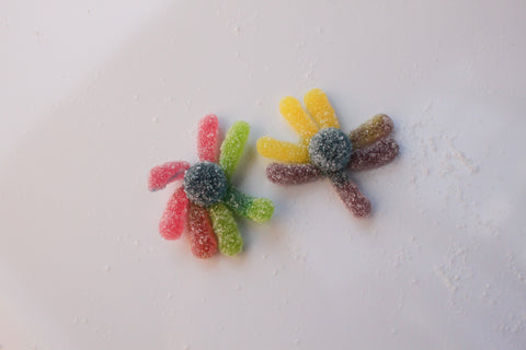 Gummy Sour Octopus