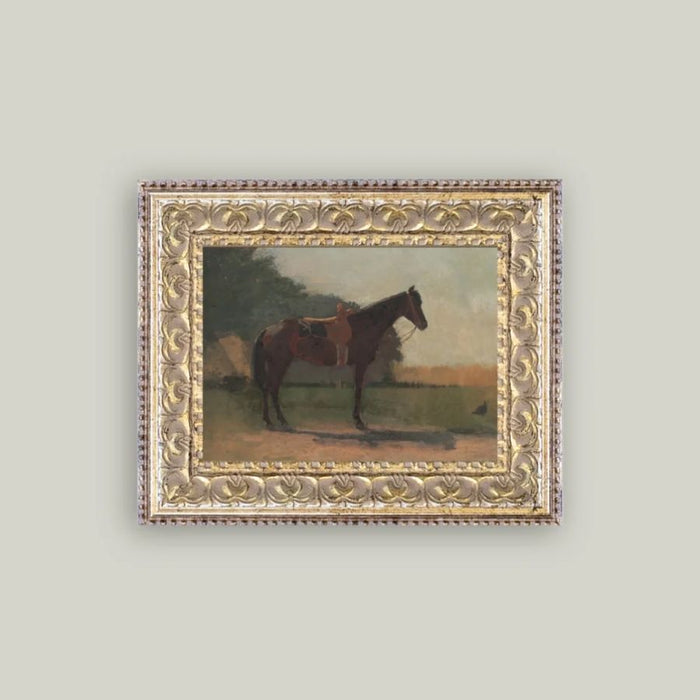 Saddled Horse