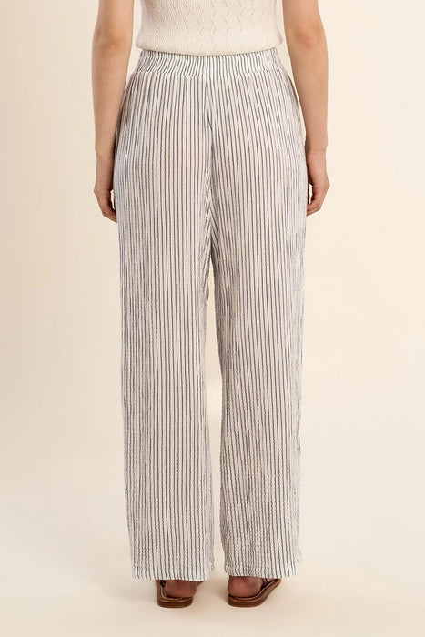 Button Down Shirt and Pant Set