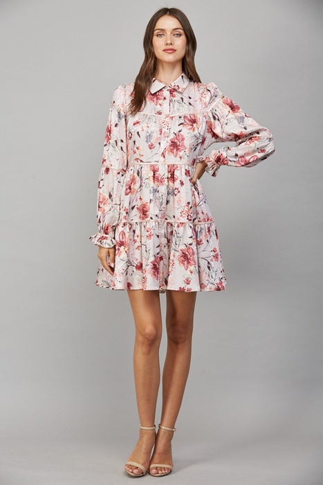 Button Down Collar Mini Dress