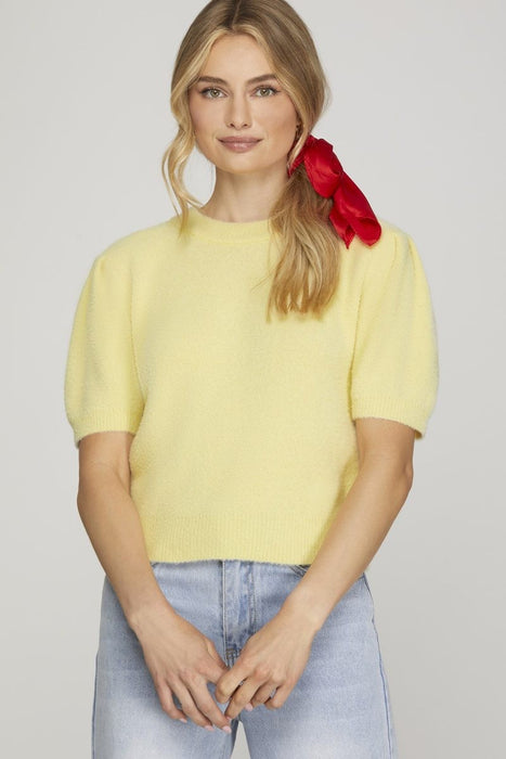 Short Sleeve Round Neck Sweater