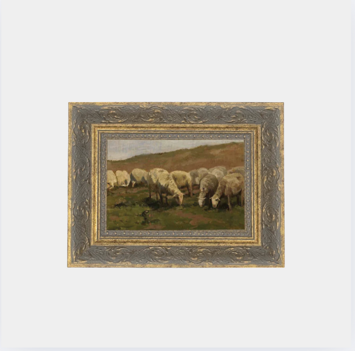 Sheep Landscape 7x5