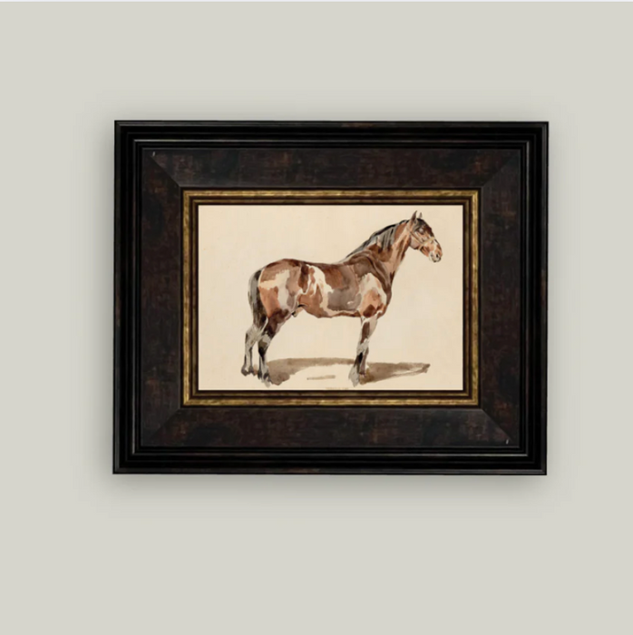 A bay horse 9x7