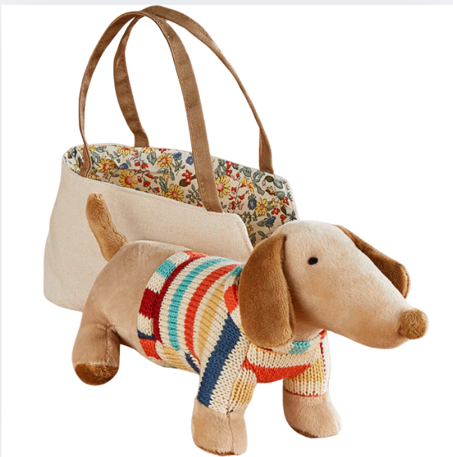Dachshund In Carrier