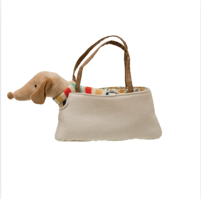 Dachshund In Carrier