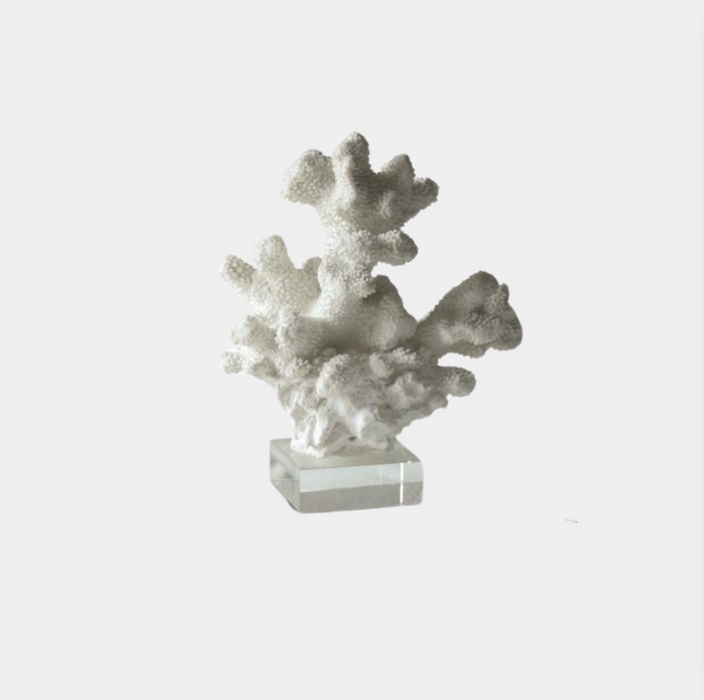White Coral Sculpture Med Tube With Glass Stand
