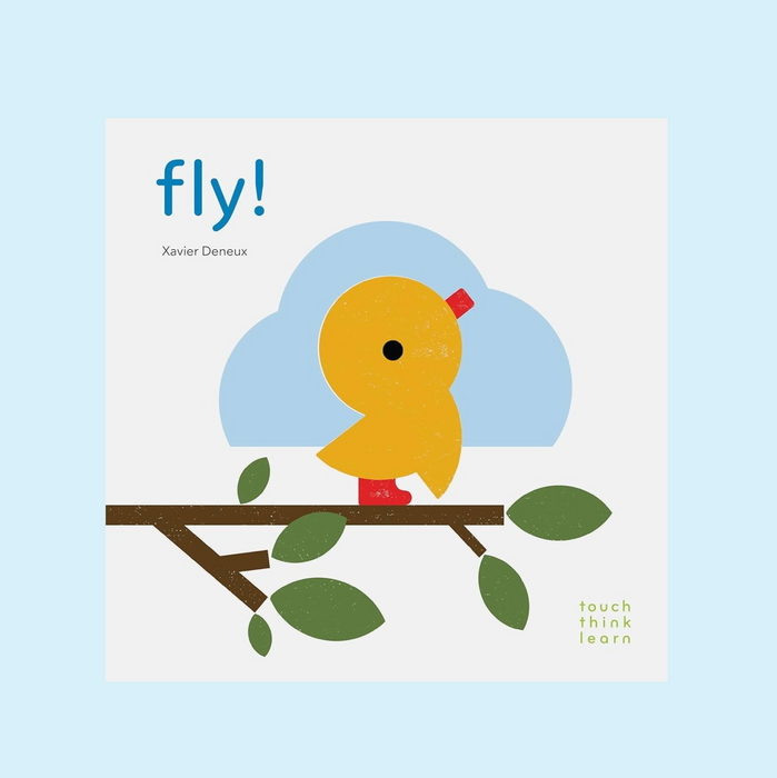 Touch Think Learn Fly