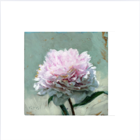 Giclee Wall Art 5x5 Peony