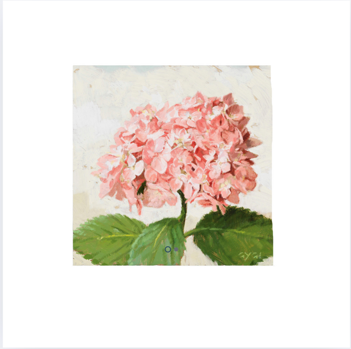 Giclee Wall Art 5x5 Pink Hydrangea