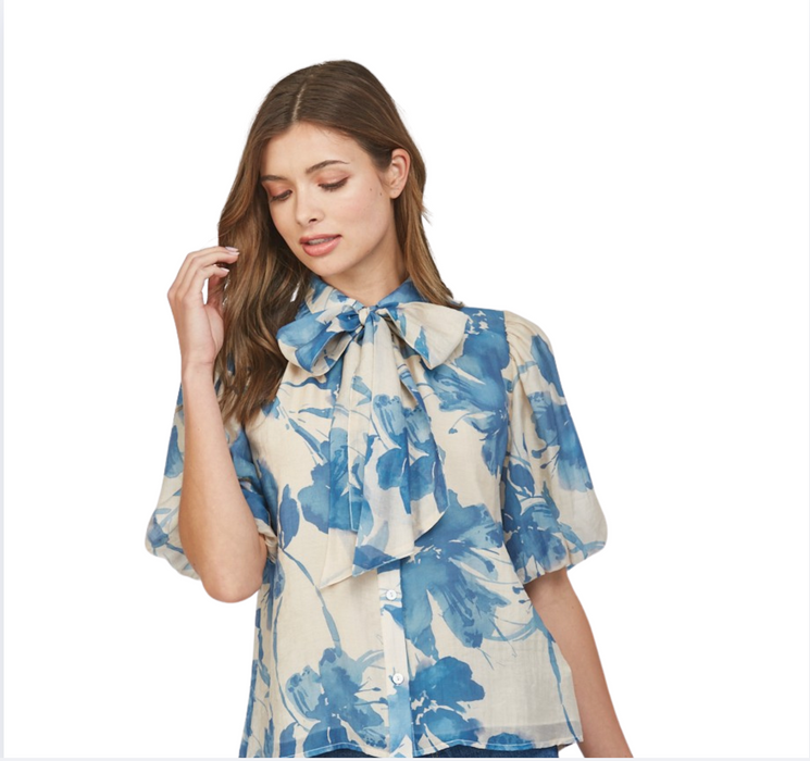 Lantern Sleeve Blouse