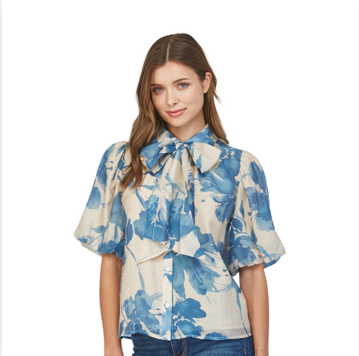 Lantern Sleeve Blouse