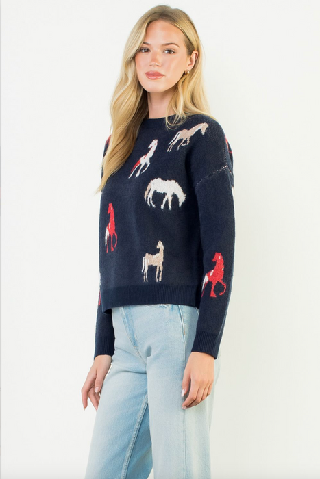 Horse Print Sweater