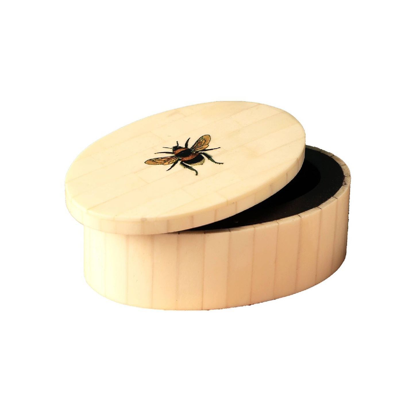 OVAL BONE BEE BOX