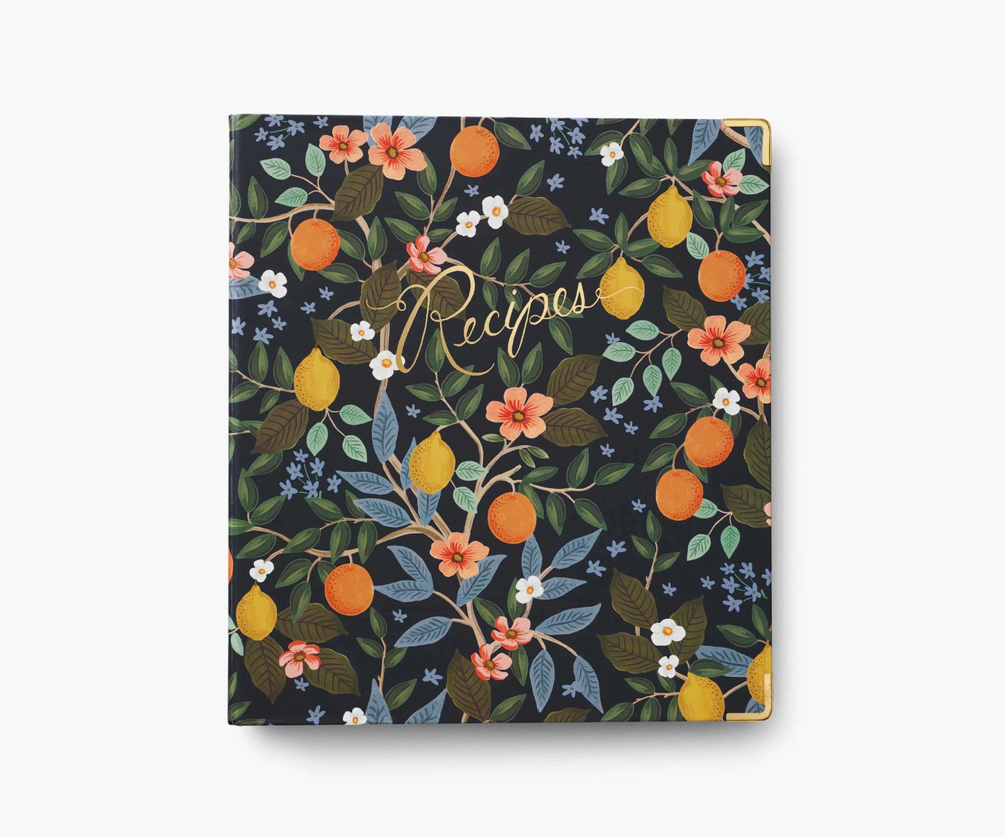 CITRUS GROVE RECIPE BINDER