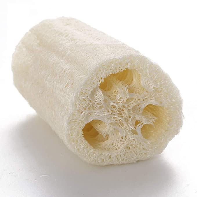 LOOFAH BRUSH